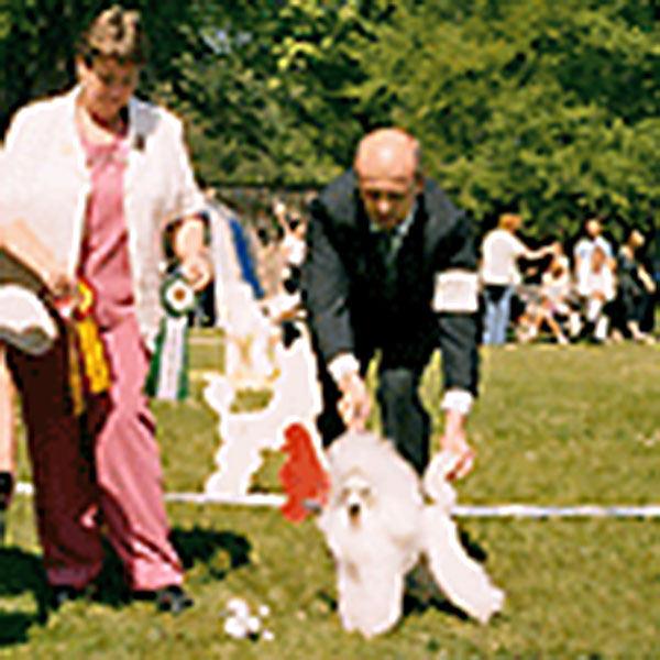 Tre udstillinger i Hässleholm