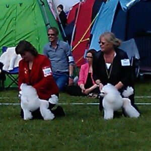 Udstilling i Roskilde