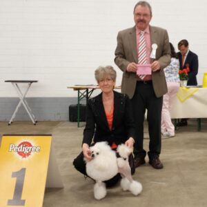 Udstilling i Lingen, DE
