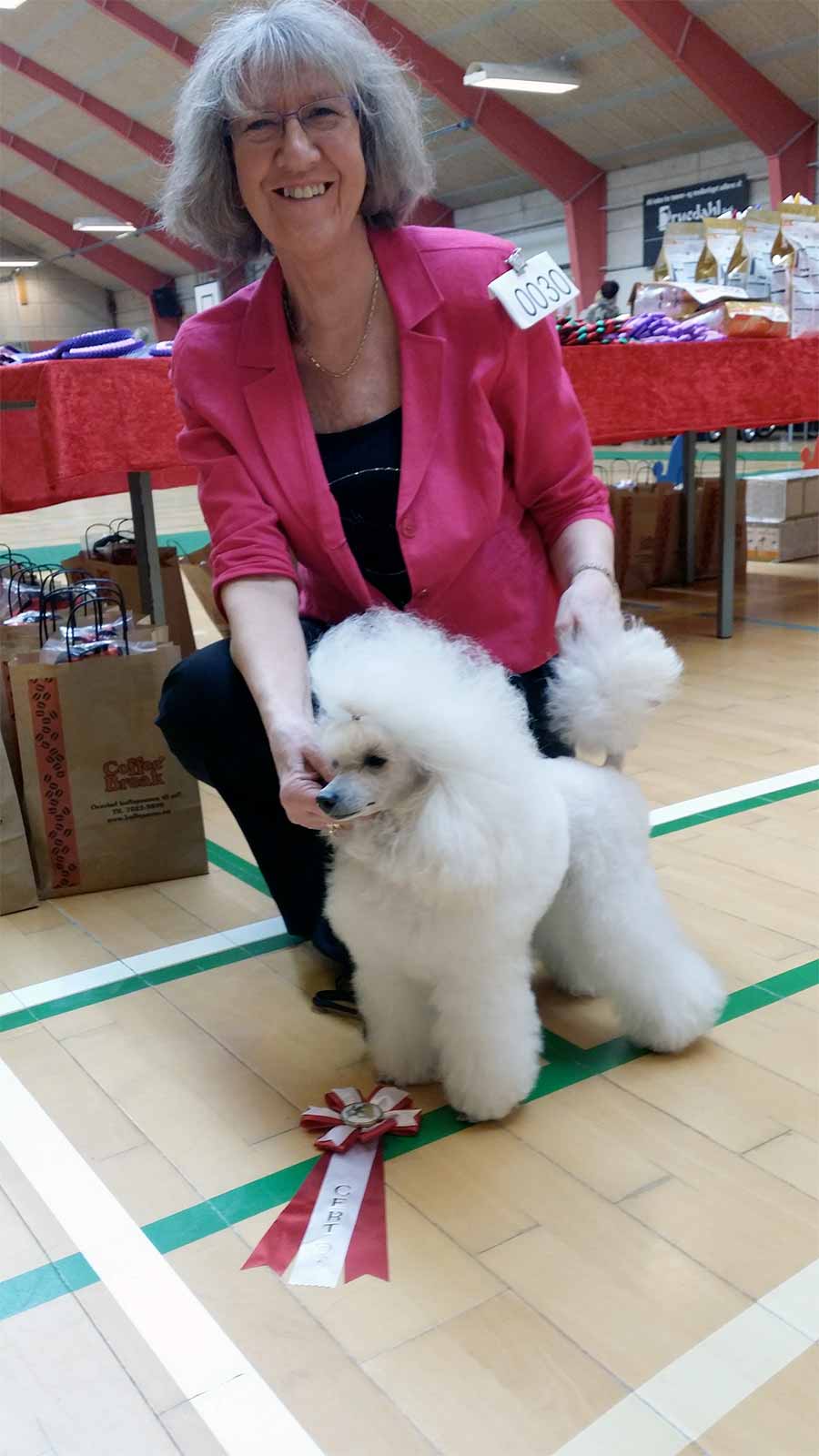 La'Biba's Mademoiselle Zoya Blanche (Zoya) på udstilling i metropolen Lille Skensved