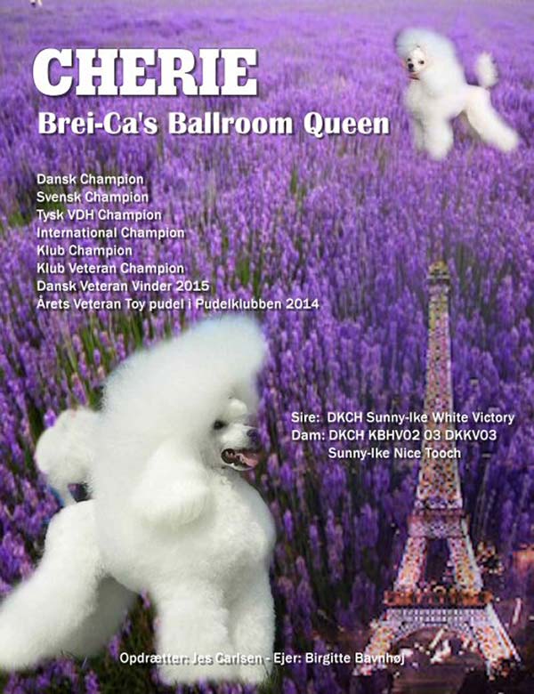 Cherie (Brei-Ca’s Ballroom Queen)