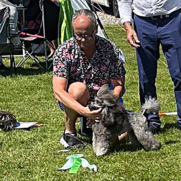 La’Biba’s Silver Dream's Moment på udelklubbens udstilling i Otterup