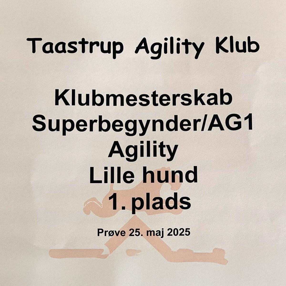 Gizmos resultat til agilitystævnet i Taastrup
