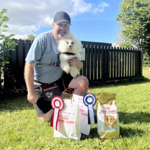 La'Biba's L'Petite Gizmo Blanc til agilitystævne i Taastrup